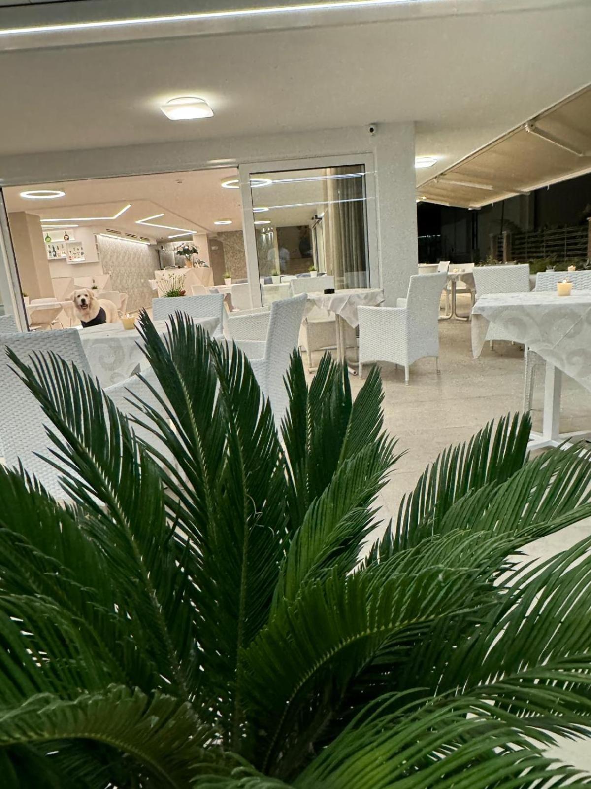 Hotel San Domingo بيلاريا-إيجيا مارينا المظهر الخارجي الصورة