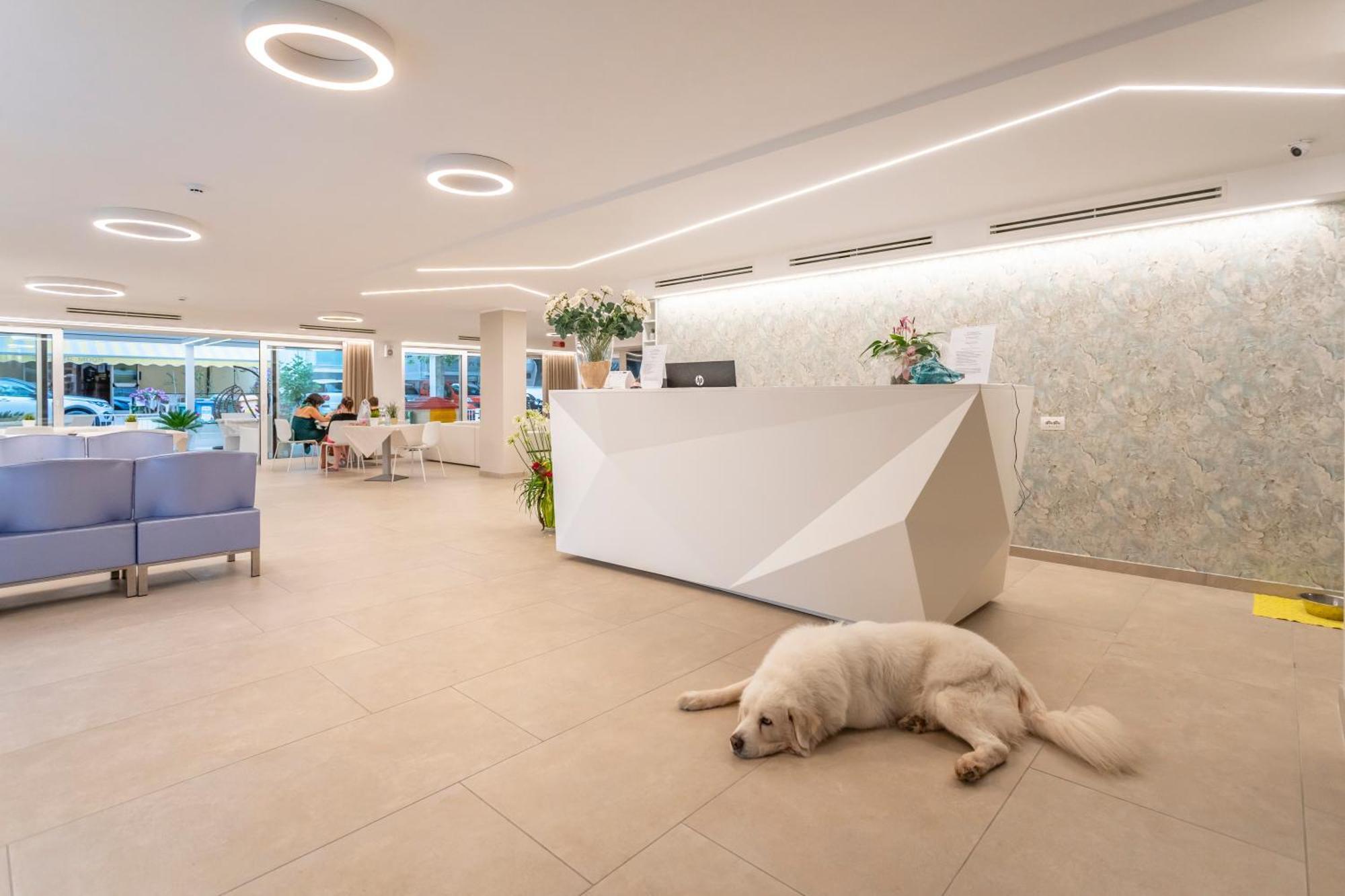 Hotel San Domingo بيلاريا-إيجيا مارينا المظهر الخارجي الصورة